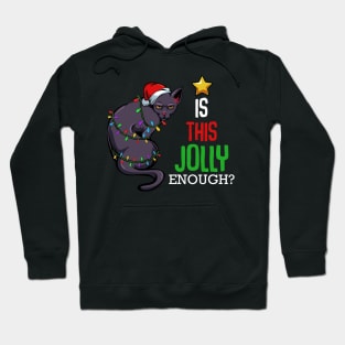 Cat - Is This Jolly Enough? Funny Christmas Sayings Hoodie